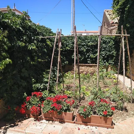 La Fabrica De Boldo Holiday home Cinctorres